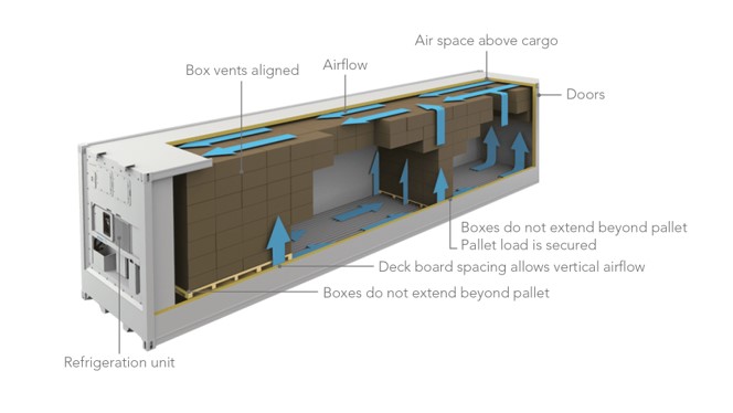 Reefer Container 